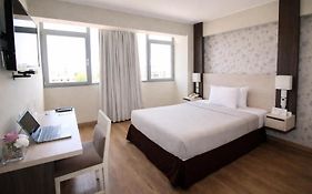 Palmetto Hotel Business San Miguel
